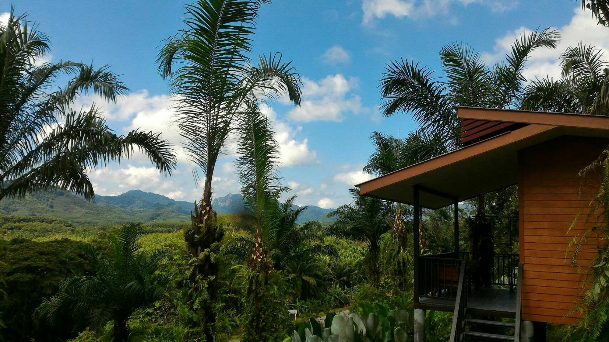 Hotel Khao Sok Horizon Phanom Zewnętrze zdjęcie